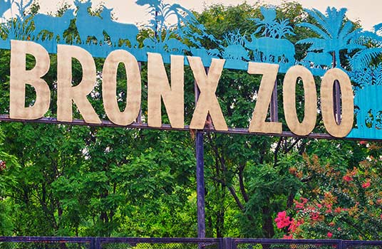 10 Tempat Wisata Kebun Binatang Terbaik yang Ada di Dunia - Bronx Zoo, AS