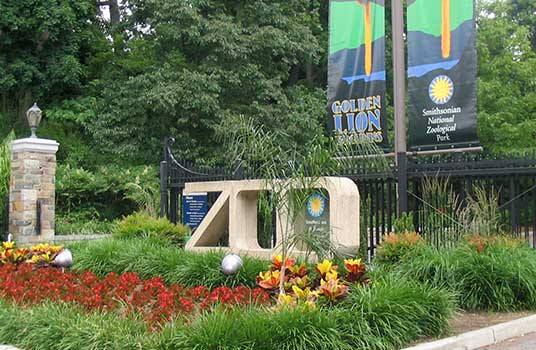 10 Tempat Wisata Kebun Binatang Terbaik yang Ada di Dunia - Smitsonian National Zoological Park, AS