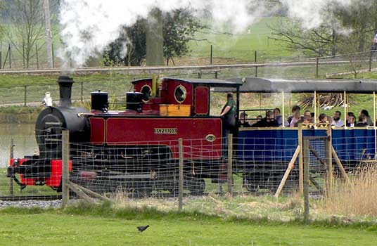 10 Tempat Wisata Kebun Binatang Terbaik yang Ada di Dunia - Whipsnade Zoo, Inggris