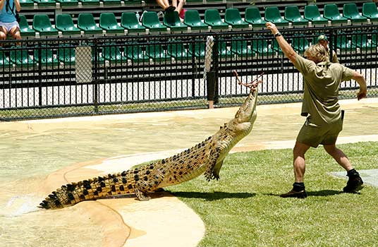 10 Tempat Wisata Kebun Binatang Terbaik yang Ada di Dunia - Australia Zoo, Australia