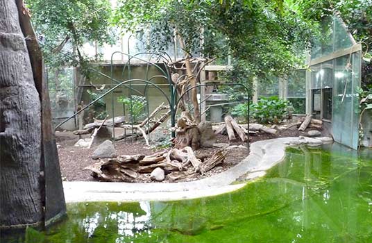10 Tempat Wisata Kebun Binatang Terbaik yang Ada di Dunia - Toronto Zoo, Kanada